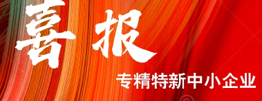 喜报-中科领创荣膺深圳市专精特新中小企业，专业化发展获认可